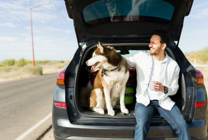 Hond mee op vakantie checklist