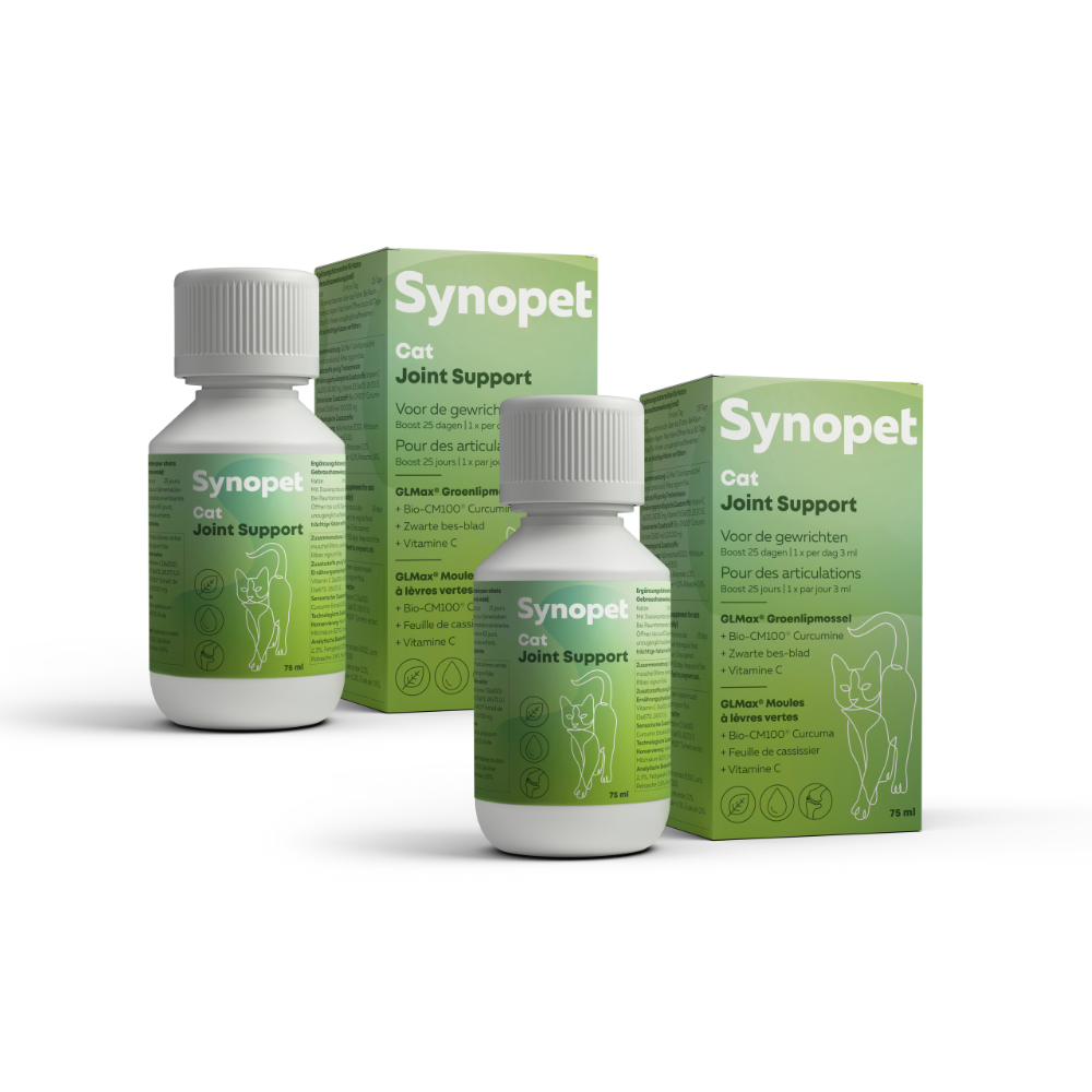 Cat Joint Support Duo