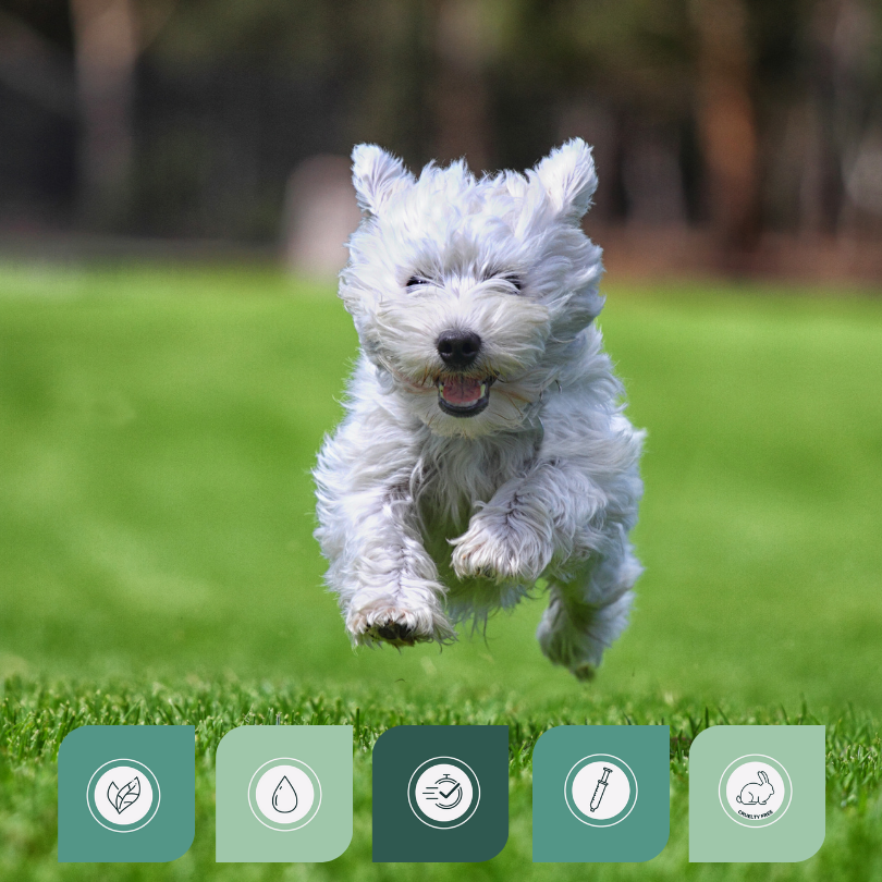 Horse Joint Support met doseerspuit (6) Joint Support