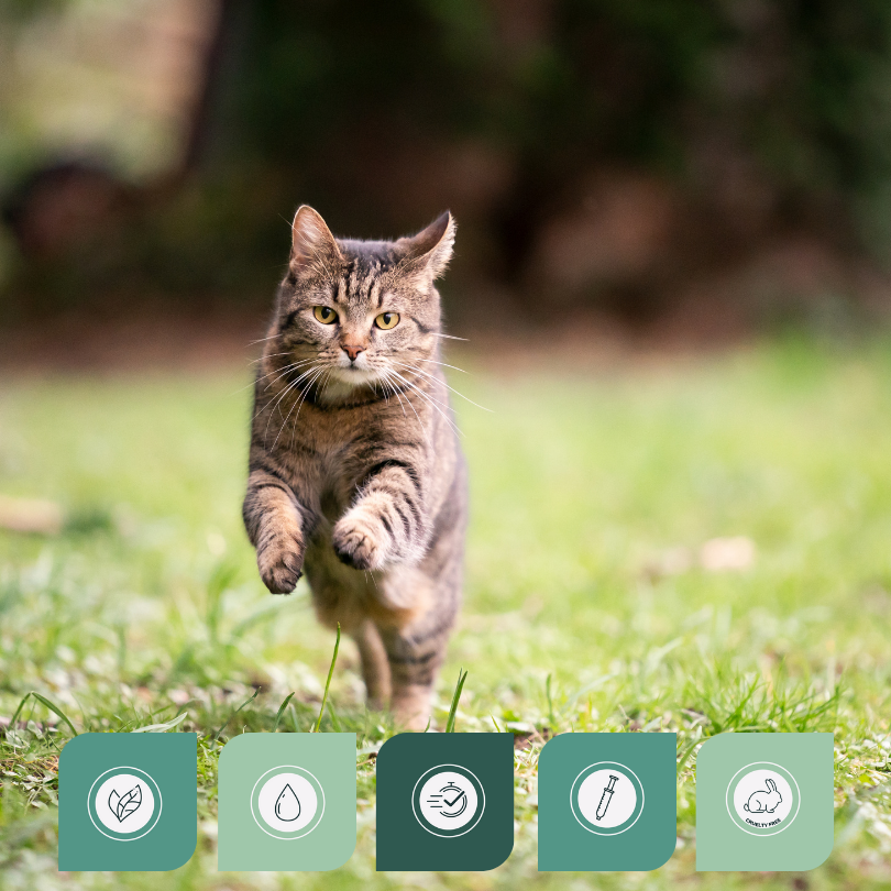 Horse Joint Support met doseerspuit (7) Joint Support