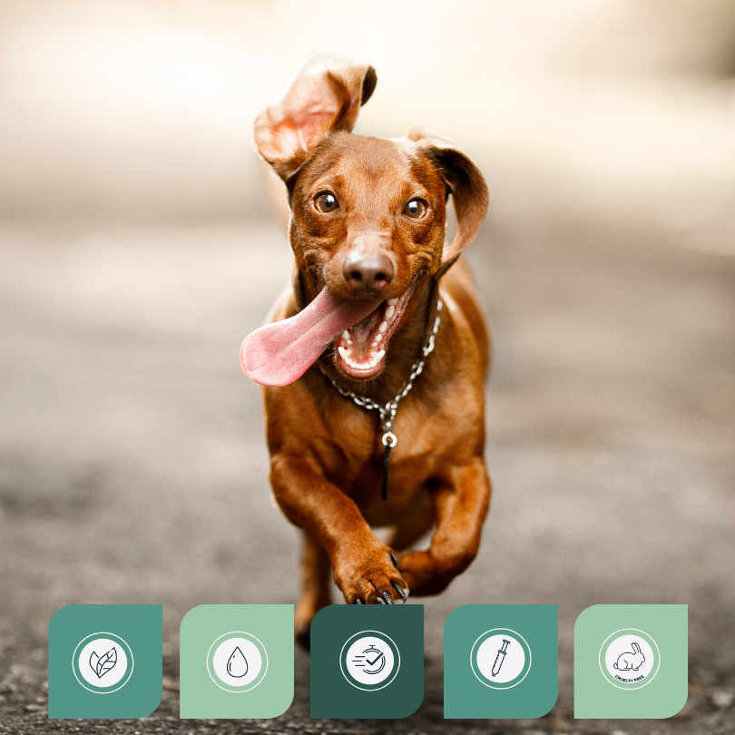 Dog Joint Support -10kg Duo - Afbeelding 4