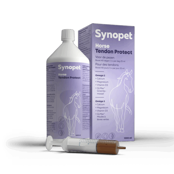 Horse Tendon Protect