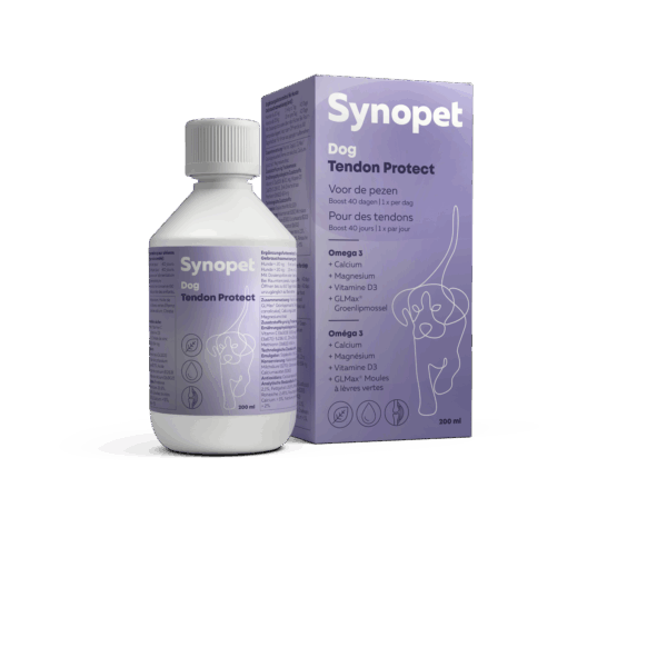 Dog Tendon Protect - Afbeelding 3