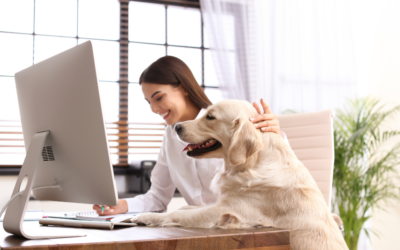 Kun je bezuinigen op de supplementen voor je hond, kat, konijn of paard?