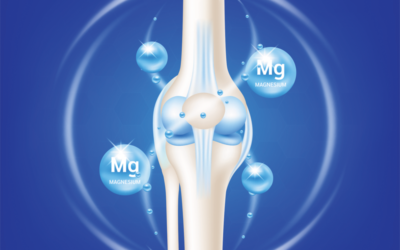 Magnesium: van levensbelang voor je dier