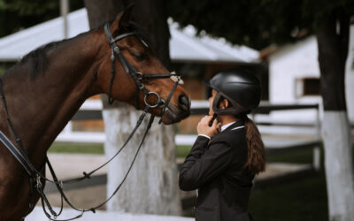 Optimale vitaliteit voor paard en ruiter