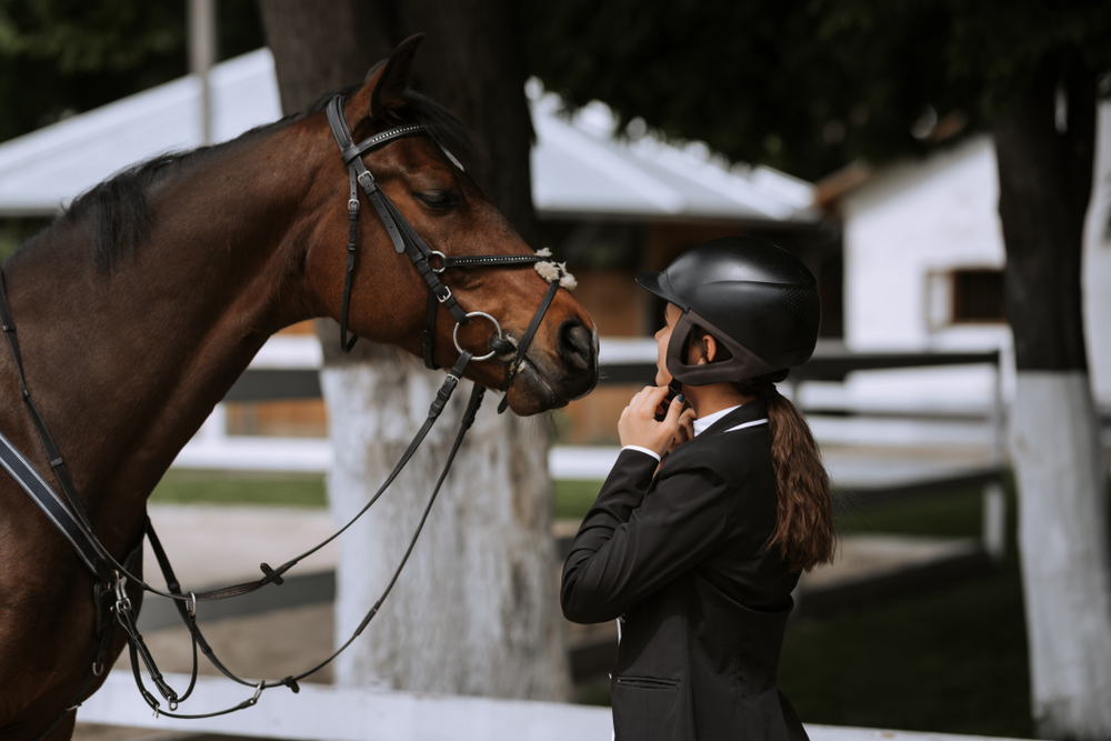 Optimale vitaliteit voor paard en ruiter