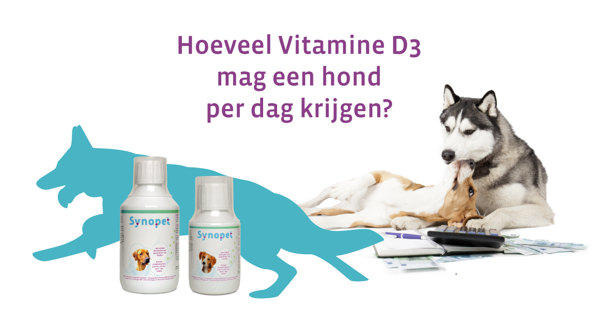 Te Veel Vitamine D3 Bij Honden Hoe Zit Het Met Cani Syn